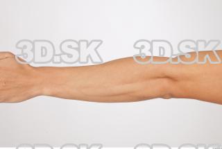 Forearm texture of Rufus 0001